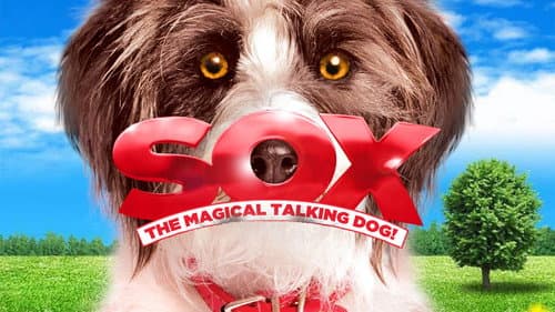 Sox: A Family's Best Friend still