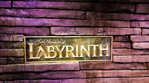 Labyrinth still