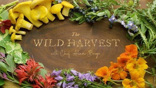 Field, Forest, Feast still