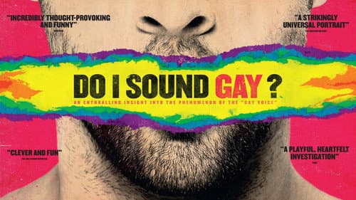 Do I Sound Gay? still