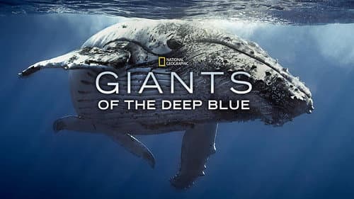Giants of the Deep Blue still