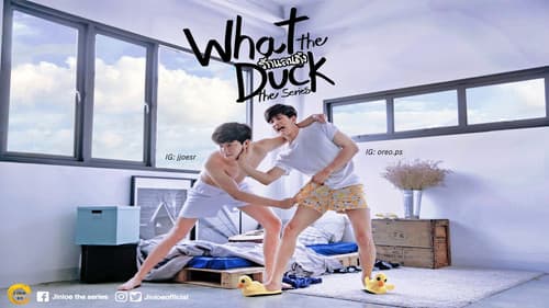 What the Duck still
