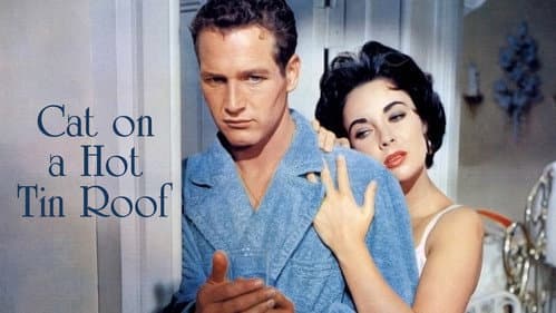 Cat on a Hot Tin Roof still
