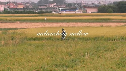 melancholy mellow still