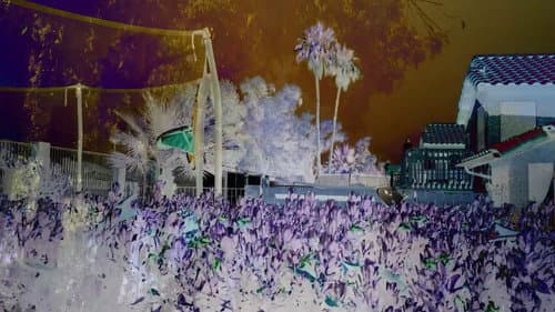 Revisited Remunerations Rapturously Collapse When Recompensed still