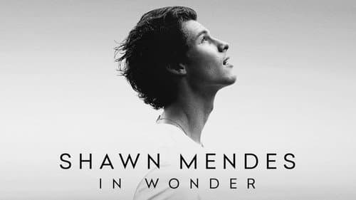 Shawn Mendes: In Wonder still