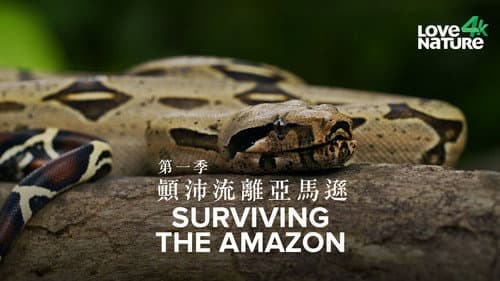 Surviving the Amazon still