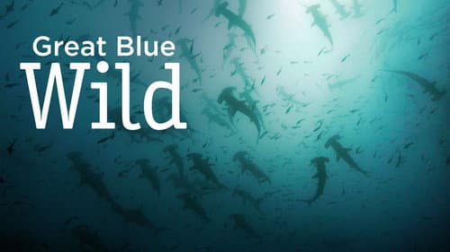 Great Blue Wild still