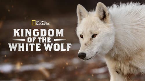 Kingdom of the White Wolf still