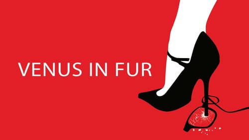 Venus in Fur still