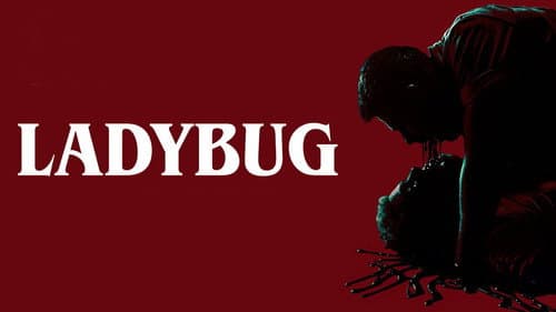 Ladybug still