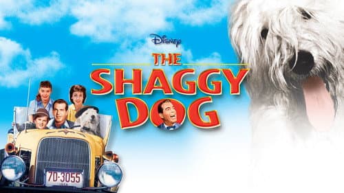The Shaggy Dog still