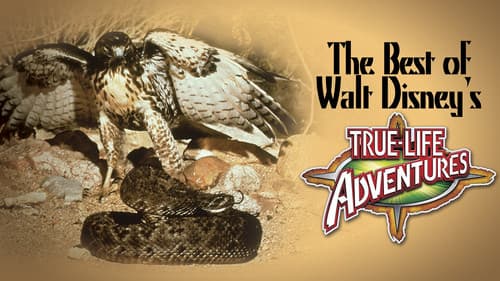 The Best of Walt Disney's True-Life Adventures still