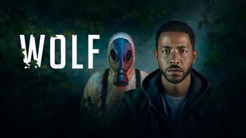Wolf still