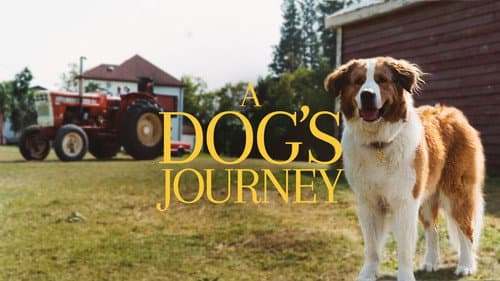 A Dog's Journey still
