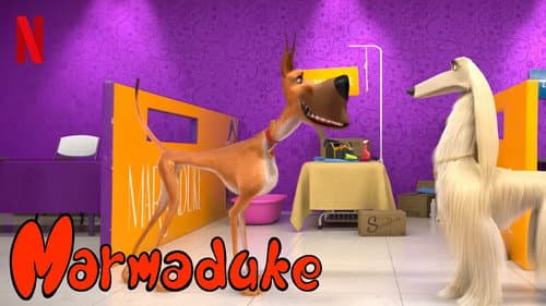 Marmaduke still