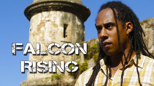 Falcon Rising still
