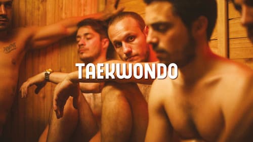 Taekwondo still