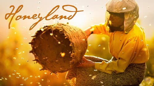 Honeyland still
