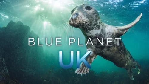 Blue Planet UK still