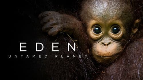 Eden: Untamed Planet still