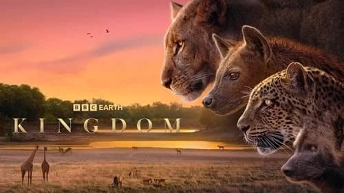 Kingdom still