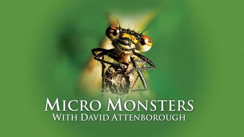 Micro Monsters with David Attenborough still