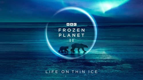 Frozen Planet II still