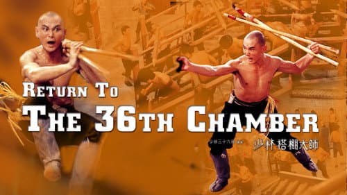 Return to the 36th Chamber still