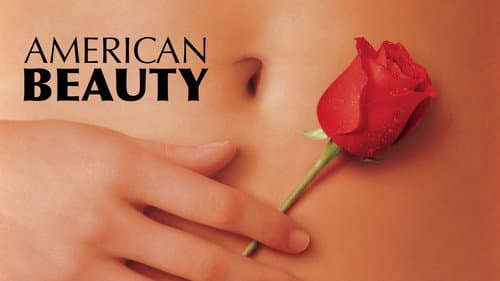 American Beauty still