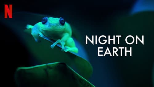 Night on Earth still