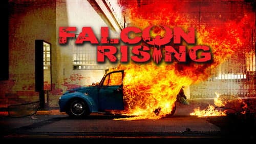 Falcon Rising still