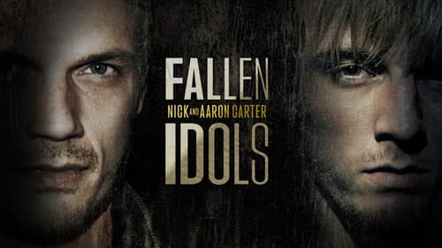 Fallen Idols: Nick and Aaron Carter still
