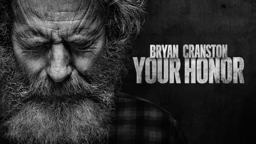 Your Honor still
