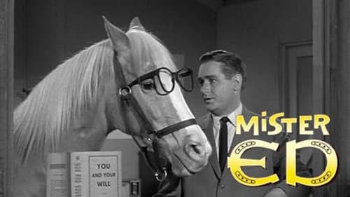 Mister Ed still
