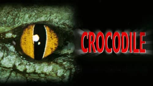 Crocodile still