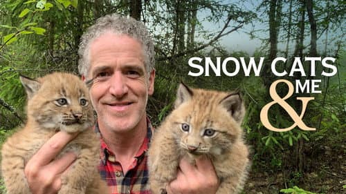 Snow Cats and Me still