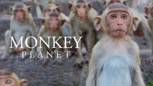 Monkey Planet still