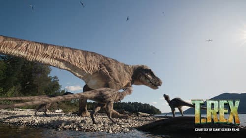T. REX still