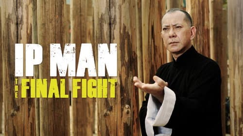 Ip Man: The Final Fight still