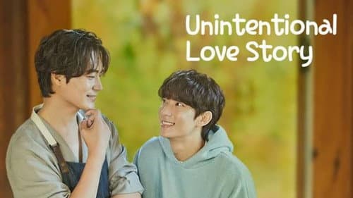 Unintentional Love Story still