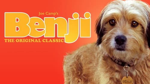 Benji still