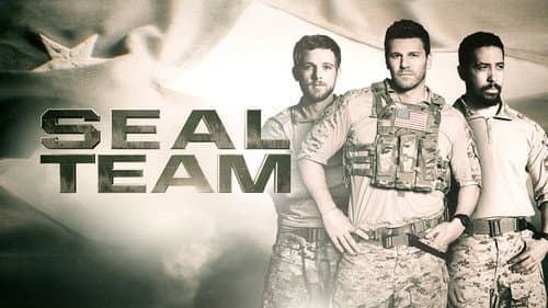 SEAL Team still
