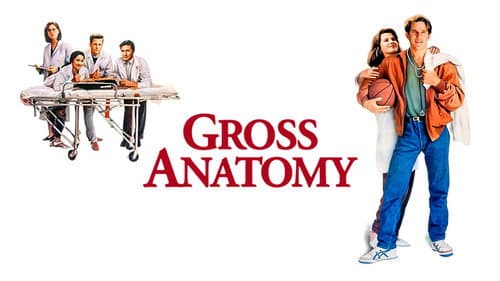 Gross Anatomy still