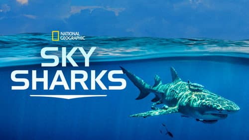 Sky Sharks still