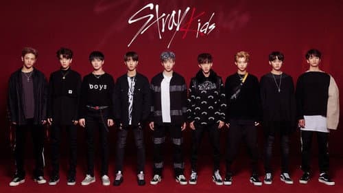 Stray Kids still