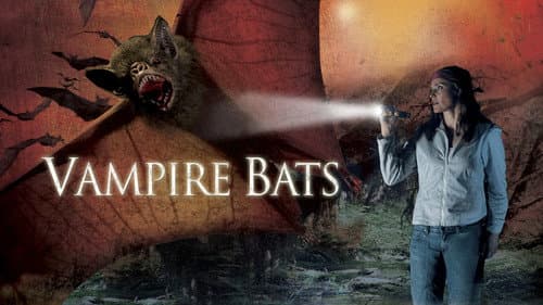 Vampire Bats still