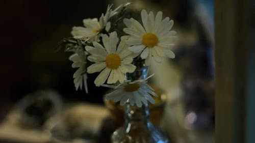 Looking for Alaska still