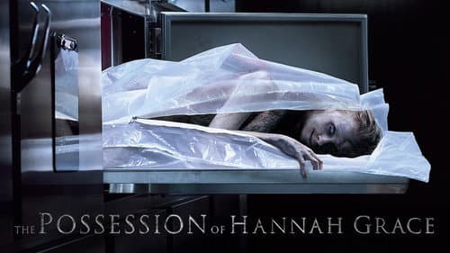 The Possession of Hannah Grace still
