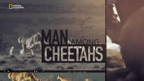 Man Among Cheetahs still
